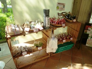 橋本ファームの新鮮野菜