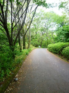 遊歩道入口