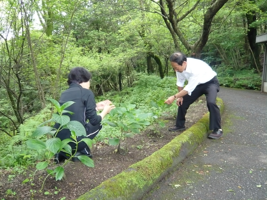 大きくなあれ