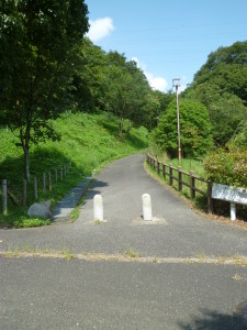 左に折れ進むと...
