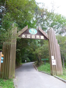 水辺の自然園 No.01