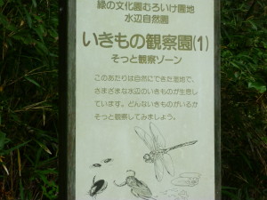 水辺の自然園 No.03