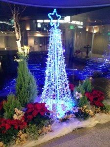 小さなクリスマスツリー (フロント前にあります。)