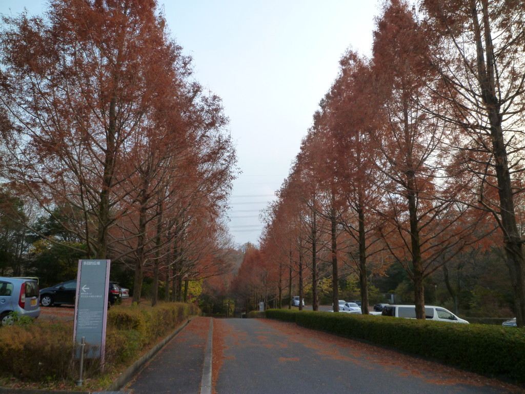 2013年12月6日撮影
