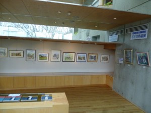 フラワーホールの展示
