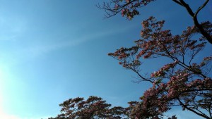松伯美術館 No.02