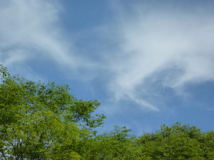 P1040523