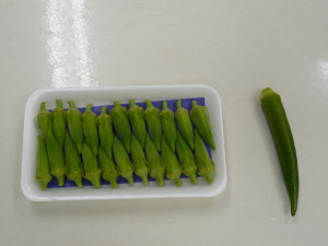 P1050197